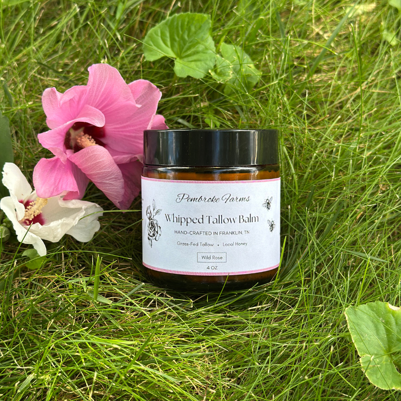 Whipped Tallow - Wild Rose