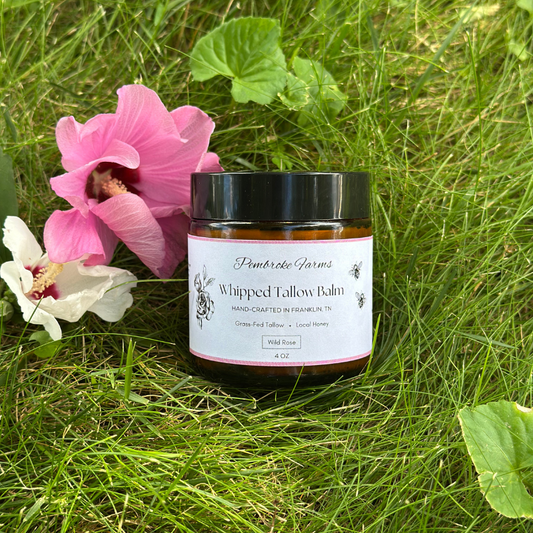 Whipped Tallow - Wild Rose